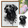 (Stamped/Counted) Labrador-11CT/14CT Cross Stitch 40*60cm(Big Size)