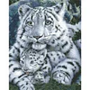 Bead Embroidery-9CT Printed Partial Embroidery-Tiger(45*57cm)