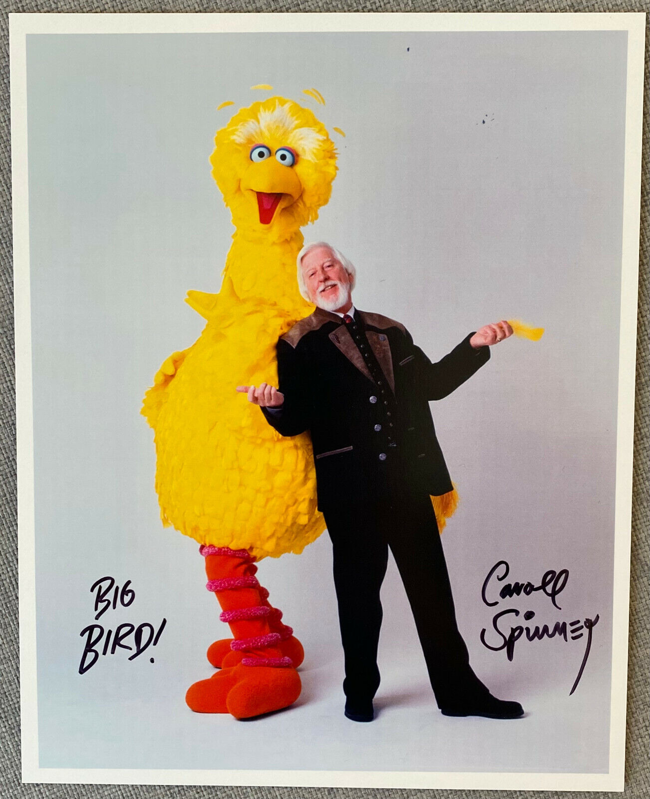 Sesame Street Caroll Spinney Signed IP 8x10 Big Bird Color Photo Poster painting - Authentic