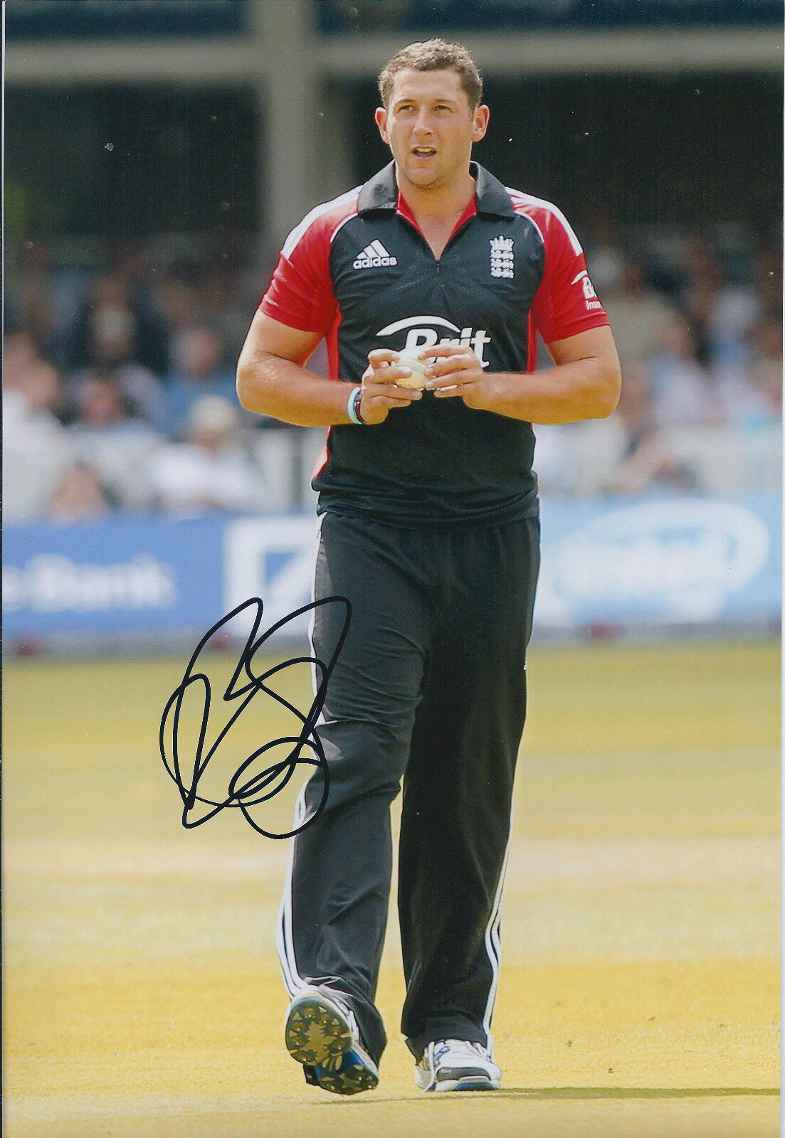 Tim BRESNAN Signed Autograph 12x8 Photo Poster painting AFTAL COA Cricket England ASHES 1 Day