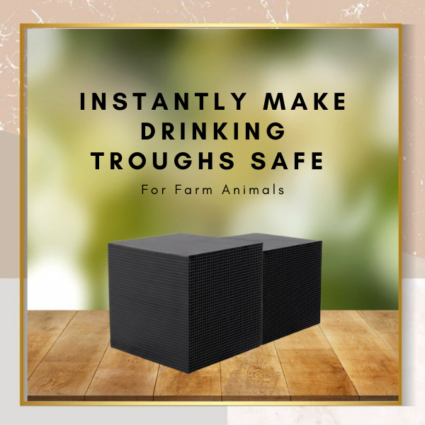 [PROMO 30 OFF] Horse Trough Water Purifier Cube