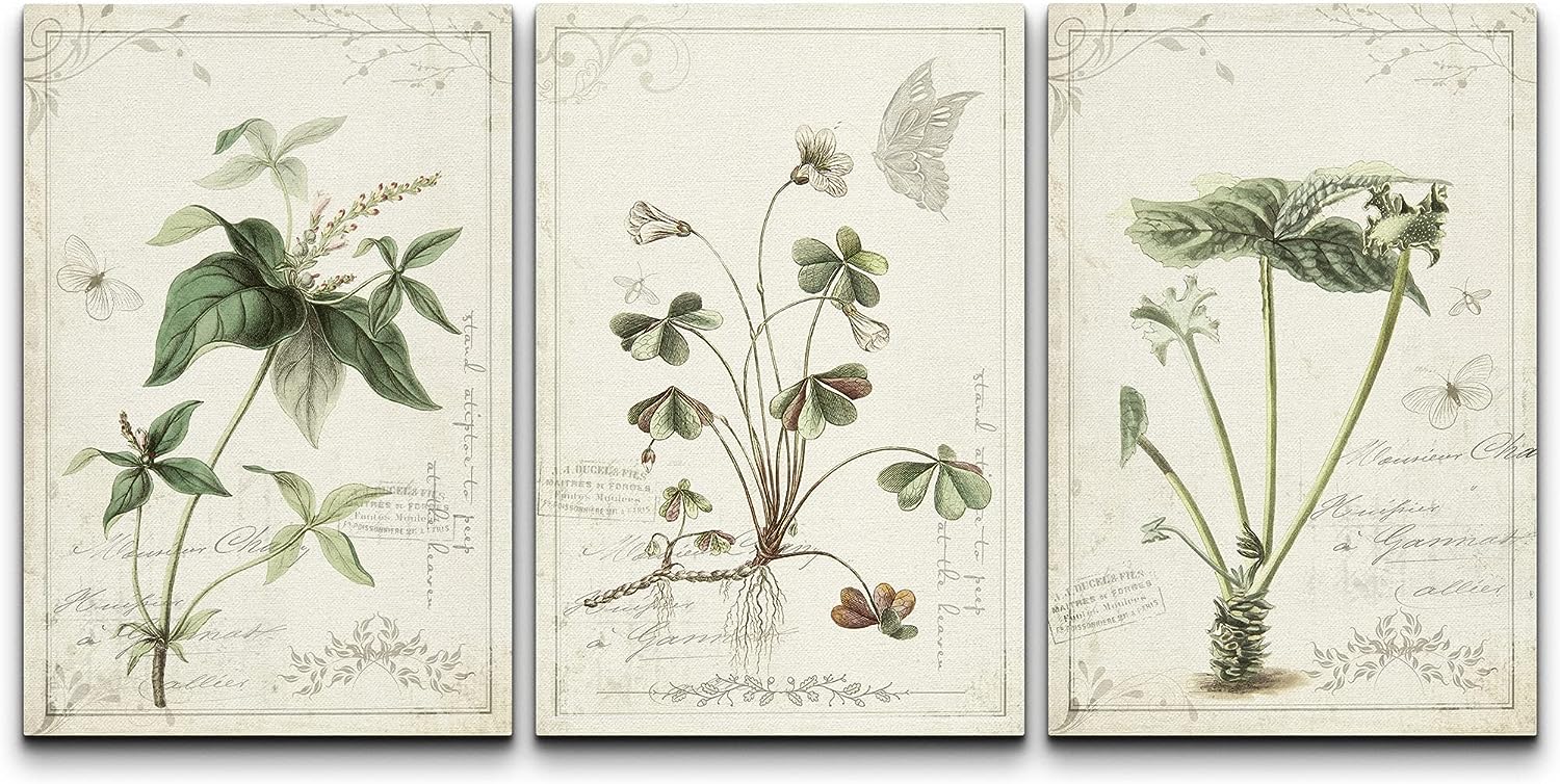 wall26 Canvas Print Wall Art Set Victorian Style Jungle Plants with Butterfly Nature Floral Illustrations Realism Rustic Scenic Colorful Wilderness for Living Room, Bedroom, Office - 16 inch x24 inch x3 24&#034; x 16&#034; x 3 Panels
