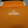 2022 Player Version C&ocirc;te d'Ivoire National Team Home Shirt