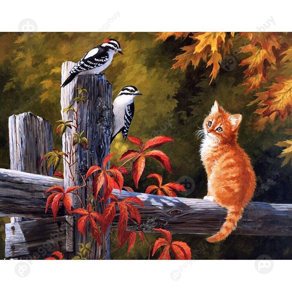

40*50CM Paint By Numbers-Cat, 501 Original
