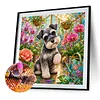 Diamond Painting -5D Full Round Drill Miniature Schnauzer Puppy(40x40cm)