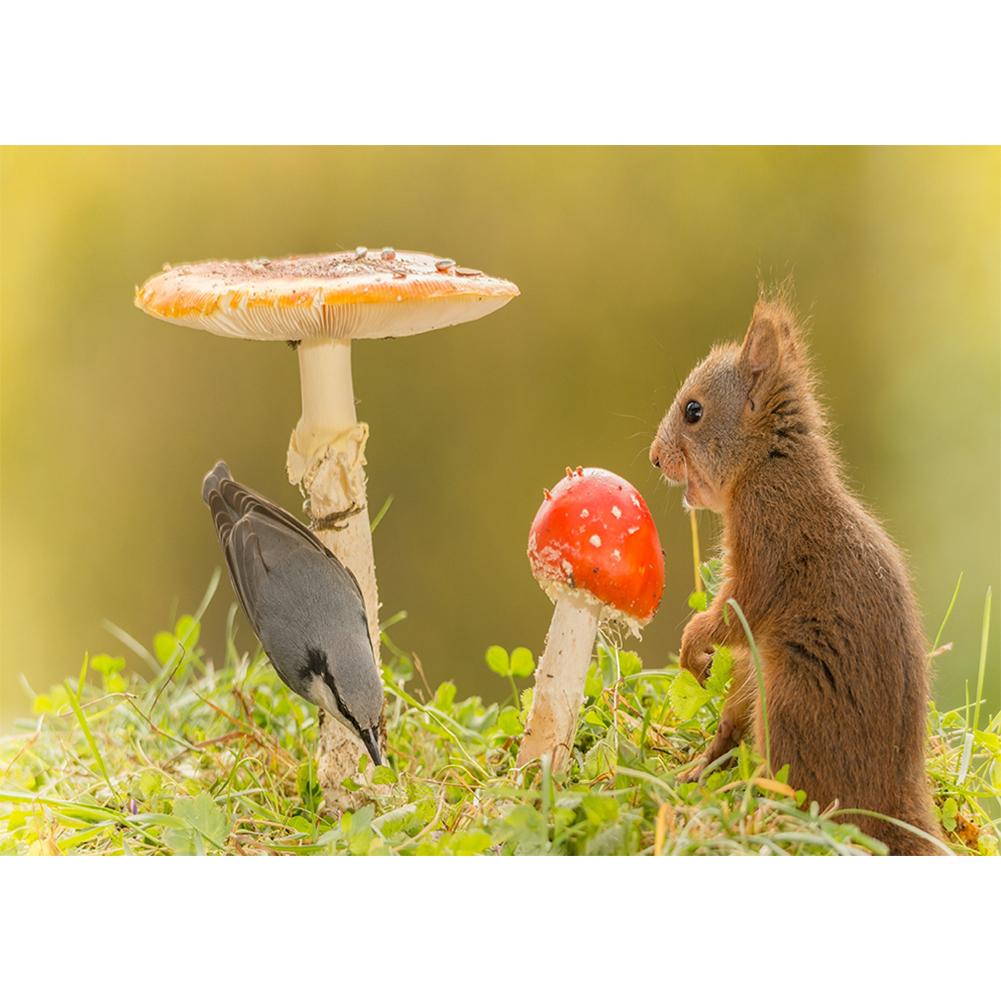 

Squirrel Mushroom-Round Drill Diamond Painting-40*30CM, 501 Original