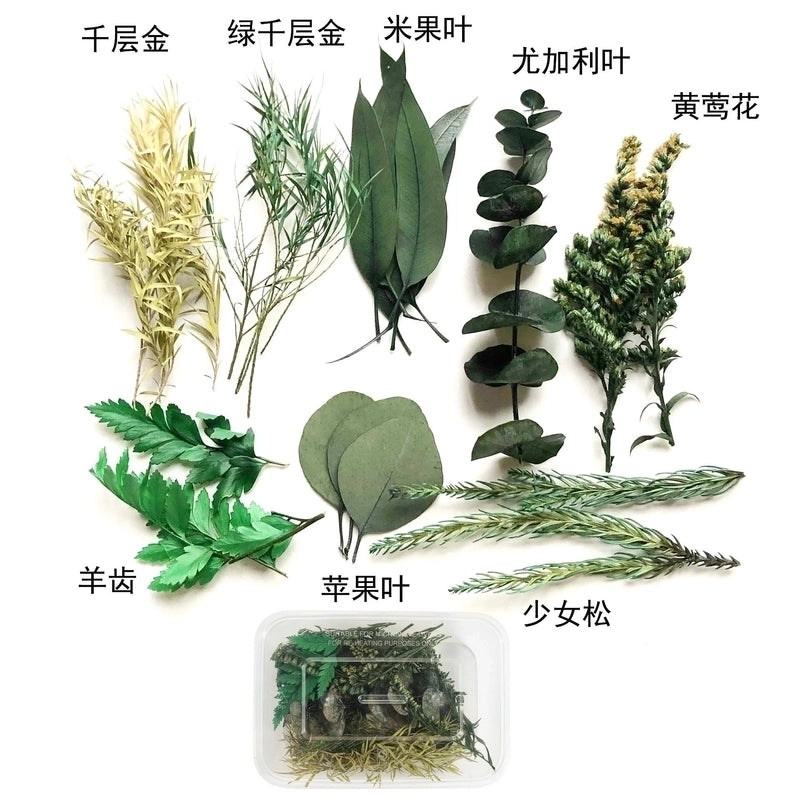 Flower Dried Flower Party Dried Flower