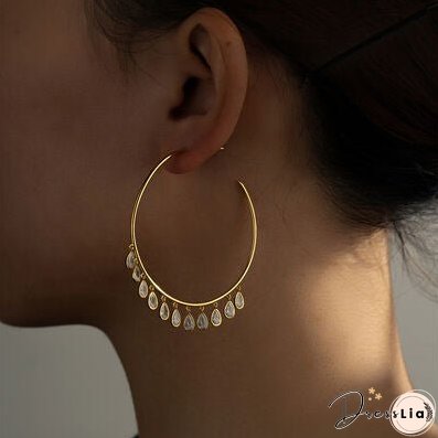 Inlaid Zircon 925 Sterling Silver Earrings