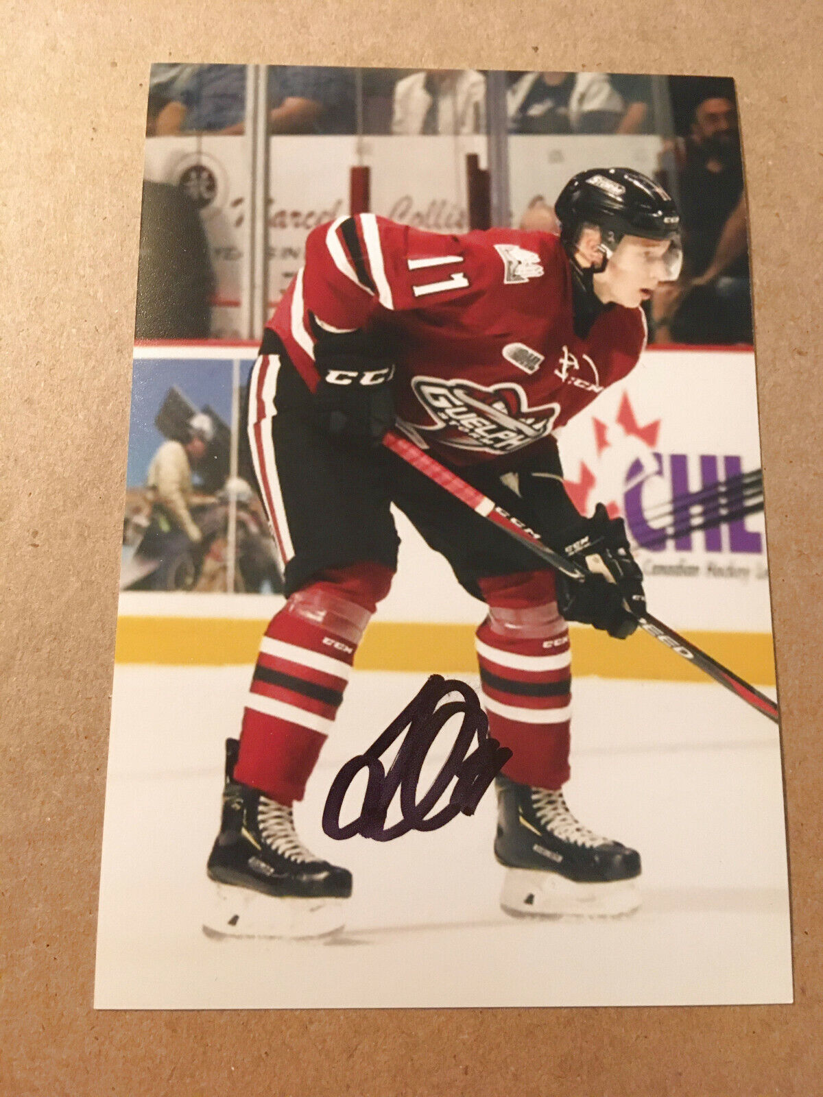 Daniil Chayka SIGNED autographed 4x6 Photo Poster painting GUELPH STORM / VEGAS GOLDEN KNIGHTS 2