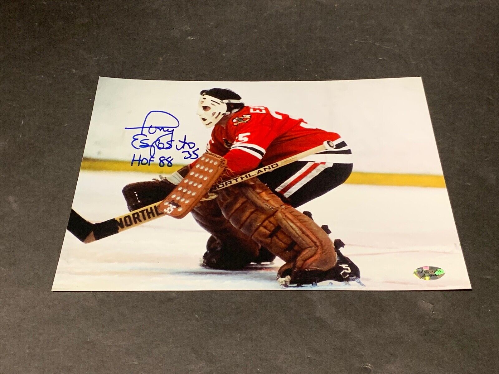 Tony Esposito Chicago Blackhawks Autographed Signed 8x10 HOF 88