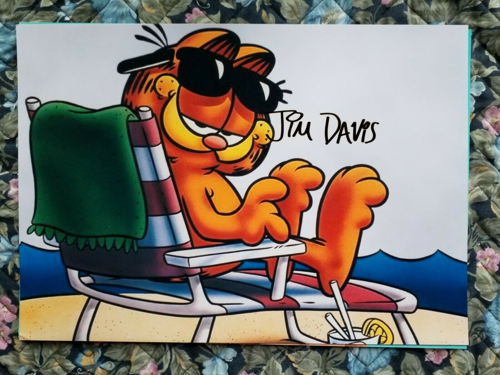 JIM DAVIS AUTHENTIC SIGNED 8.2X11.2 COLOR Photo Poster painting OF GARFIELD GREAT ITEM!!