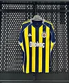 2025/2026 Fenerbah&ccedil;e Home Football Shirt 1:1 Thai Quality