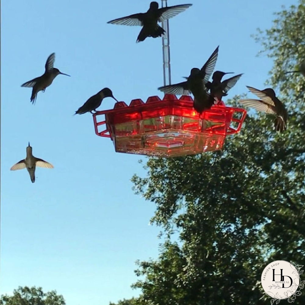 Sweety Hummingbird Feeder With Perch And Built-in Ant Moat