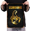 Scorpions - Vintage Metal Signs - 20*30cm/30*40cm - Music