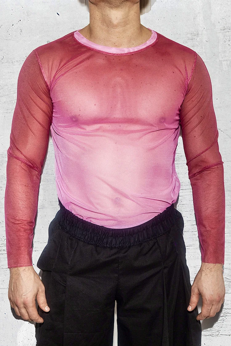 Gradient See Through Mesh Long Sleeve Stretchy Top [Pre-Order]