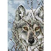 Wolf-14CT Stamped Cross Stitch Kit(21x30cm)