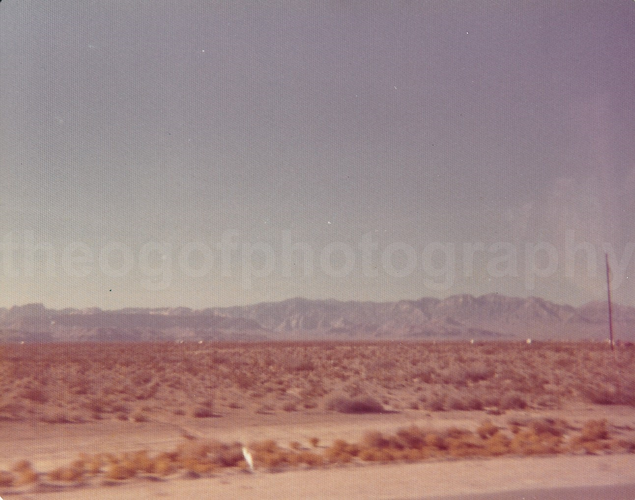 Desert Landscape FOUND Photo Poster paintingGRAPH ColorOriginal Snapshot 22 36