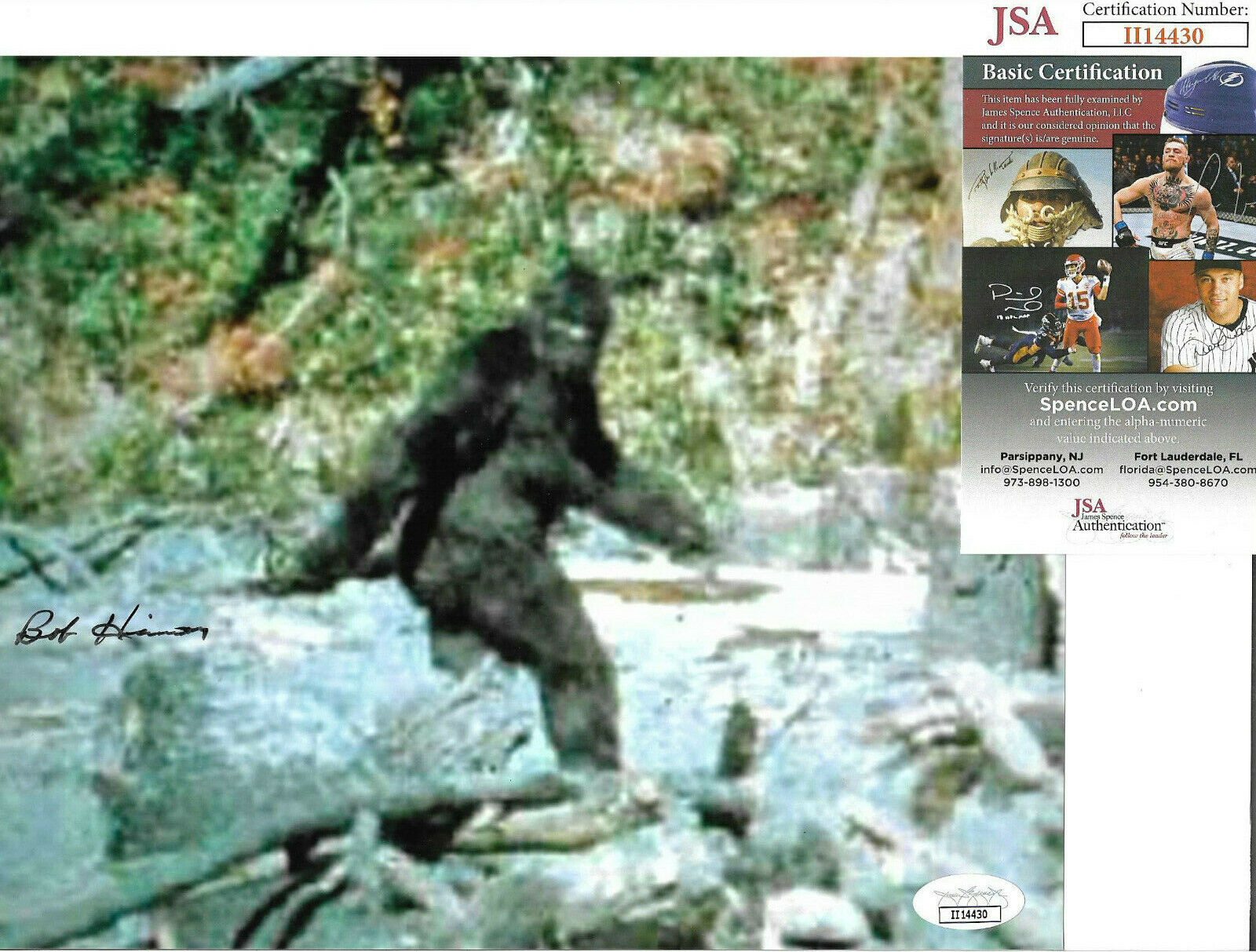 Bob Heironimus Signed 8x10 Photo Poster painting Auto, Bigfoot, Patterson-Gimlin Film, JSA COA