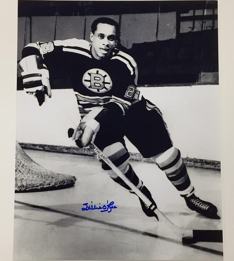 WILLIE O'REE Autograph BOSTON BRUINS Signed 11x14 Photo Poster painting #1 w/ OC COA + Hologram