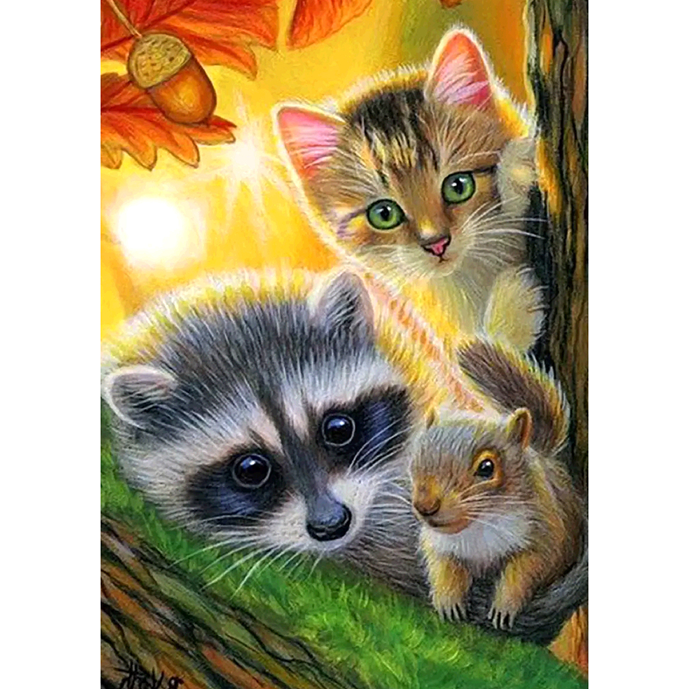 

30*40CM - Round Drill Diamond Painting - Racoon Cat, 501 Original