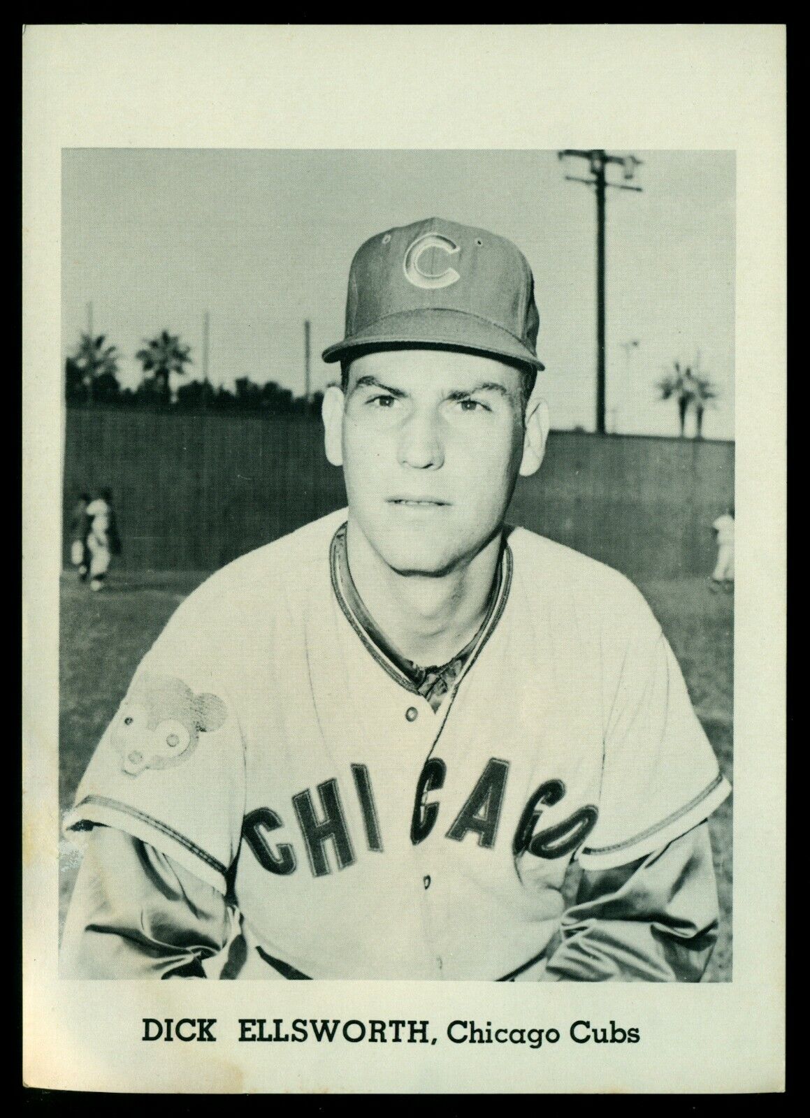 Original 1960's Dick Ellsworth CHICAGO CUBS Team Issue B&W Photo Poster painting Card sz 5X7