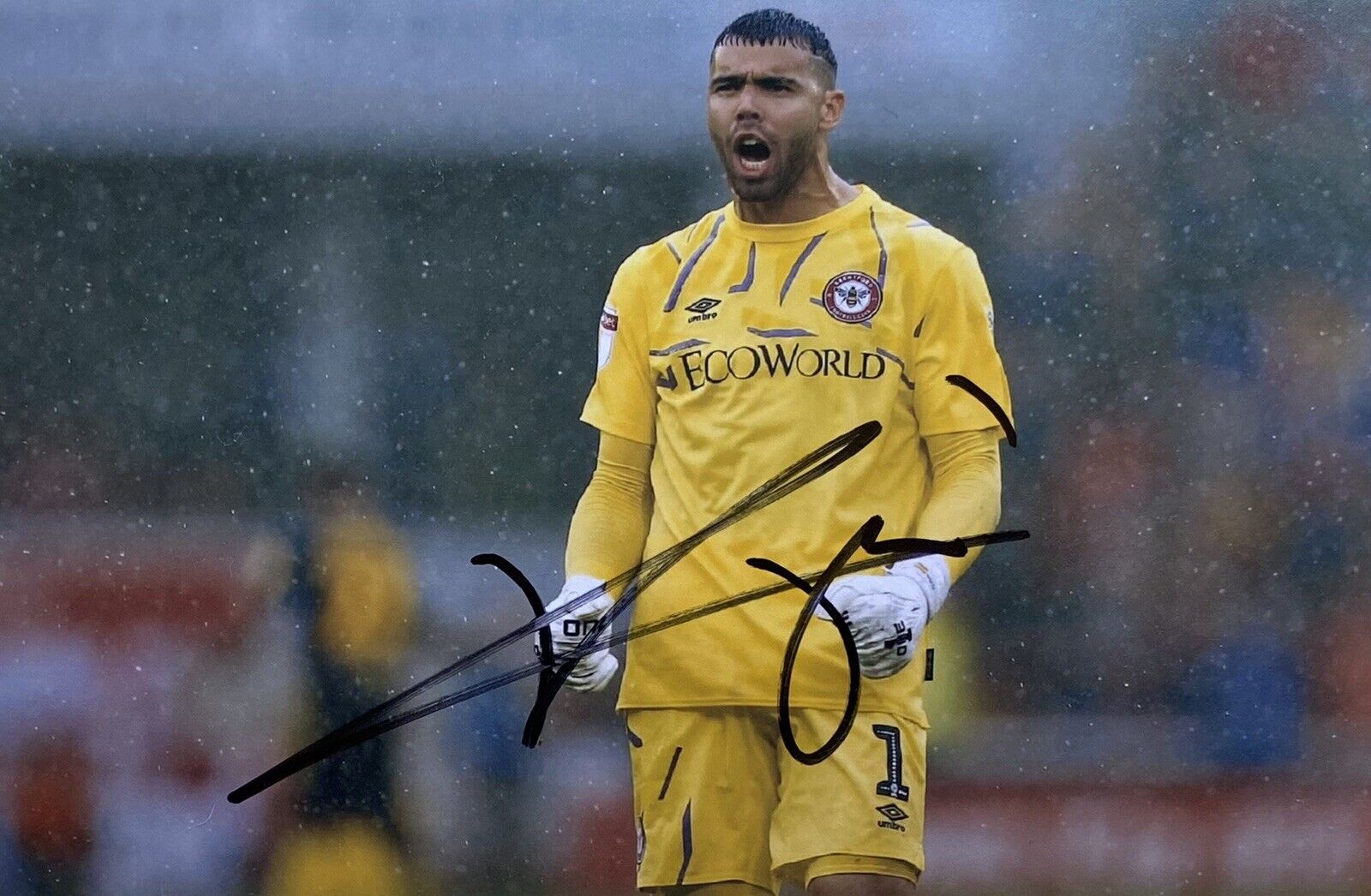 David Raya Genuine Hand Signed Brentford 6X4 Photo Poster painting 2