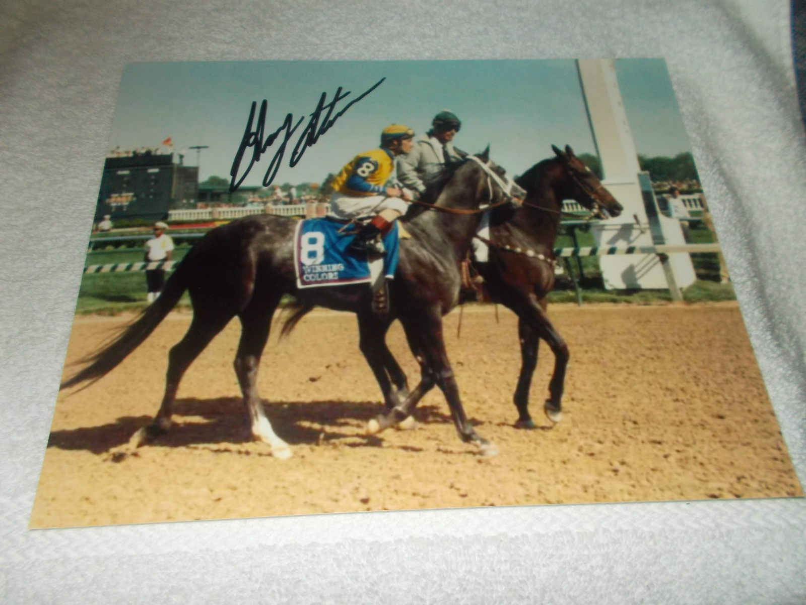 GARY STEVENS WINNING COLORS SIGNED 1988 KENTUCKY DERBY 8x10 HORSE RACING Photo Poster painting