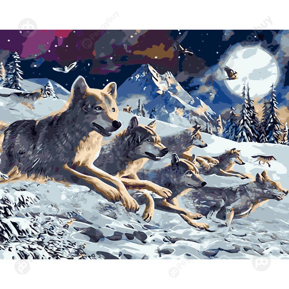 

40*50CM Paint By Numbers-Snow Wolf, 501 Original