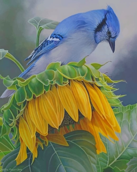 

Blue Jay On A Sunflower – Paint By Numbers - 40*50CM, 501 Original