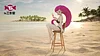 1/20 Scale World Zukan Beach Jessie - Pokemon Resin Statue - TS Studios