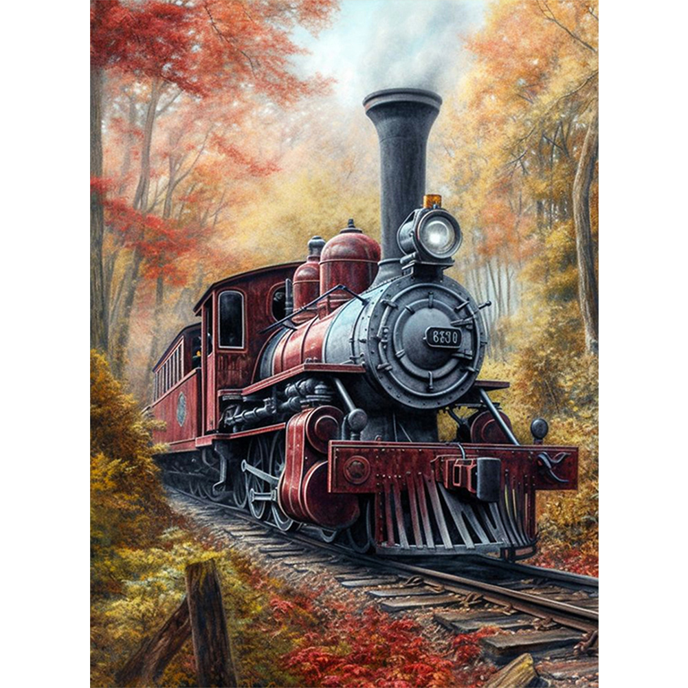 Train 40*50cm(canvas) full round drill diamond painting