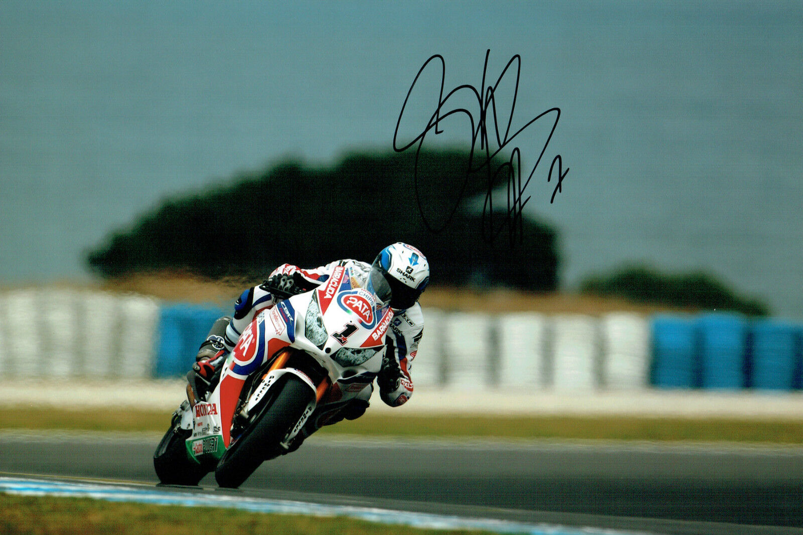 Sylvain GUINTOLI SIGNED Autograph WSBK HONDA 12x8 Photo Poster painting 2015 Season AFTAL COA