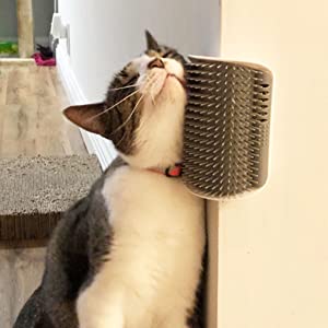 Application of self groomer