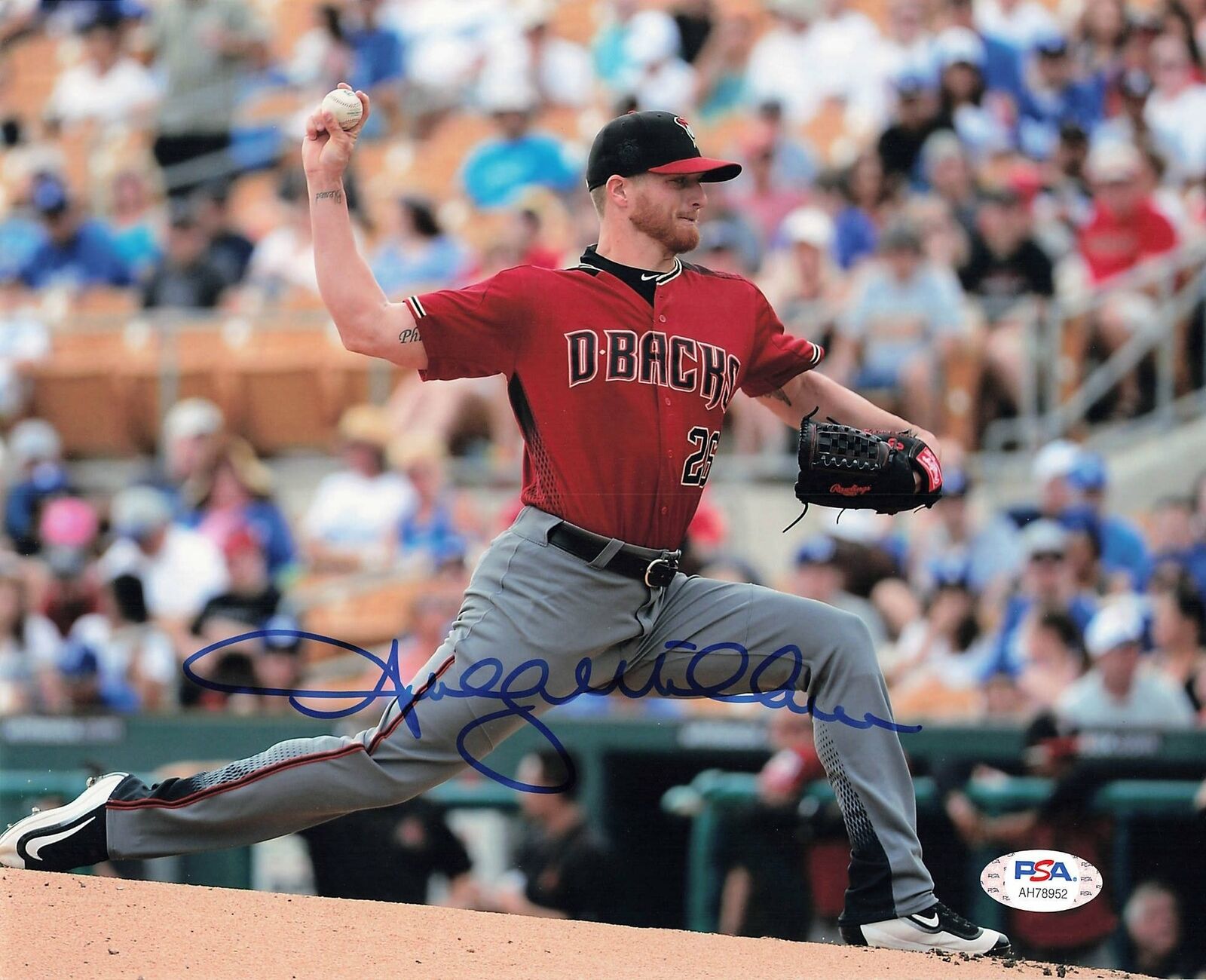 Shelby Miller signed 8x10 Photo Poster painting PSA/DNA Arizona D-Backs Autographed