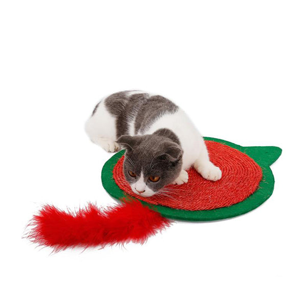 Christmas cat mat
