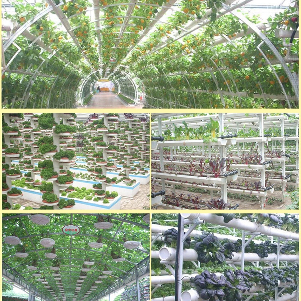 

50pcs Soilless Hydroponic Mesh Pot Clone Nursery Planting Net Cup Basket, 60, 501 Original