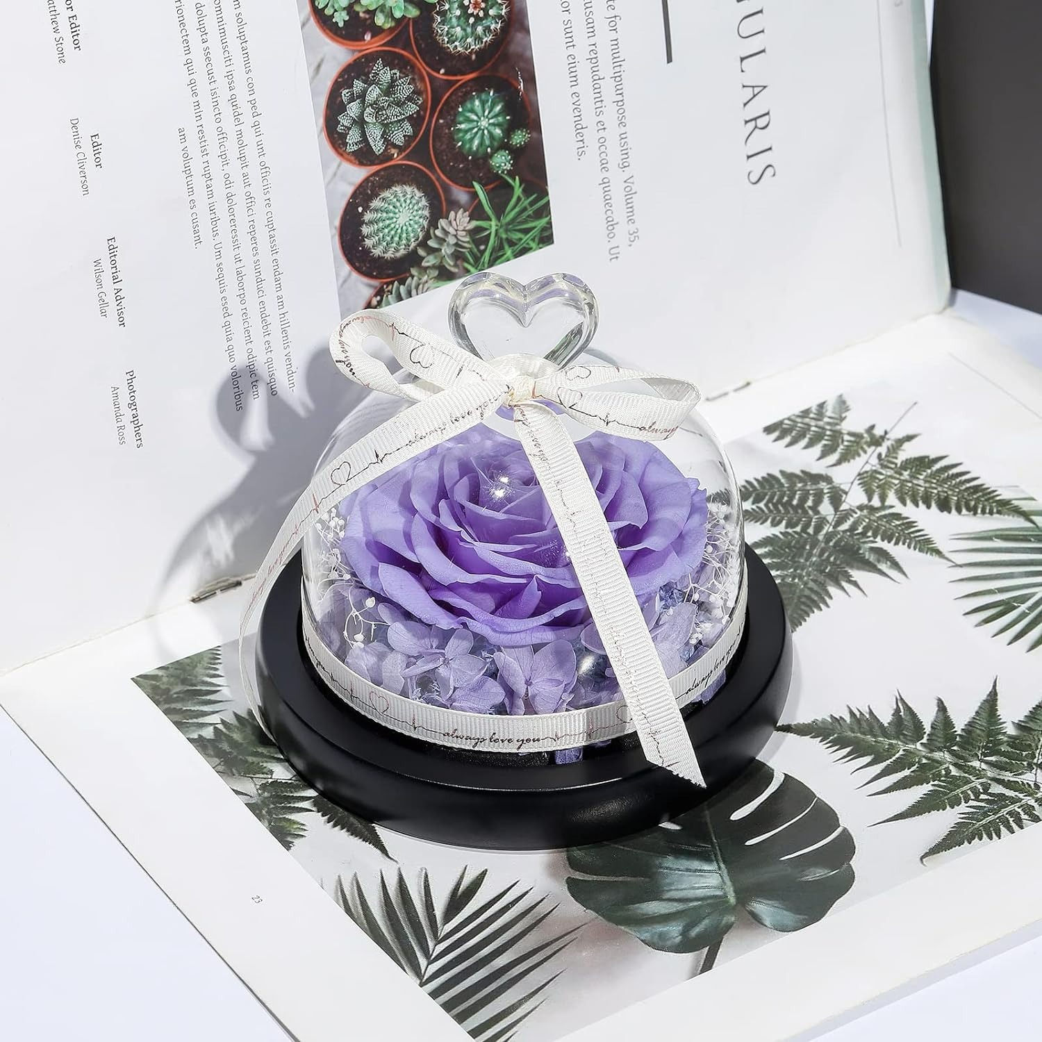 Tegooe DuHouse Forever Roses Preserved Real Flowers in Glass Dome Eternal Flower Gift for Her Valentines Day Anniversary B...