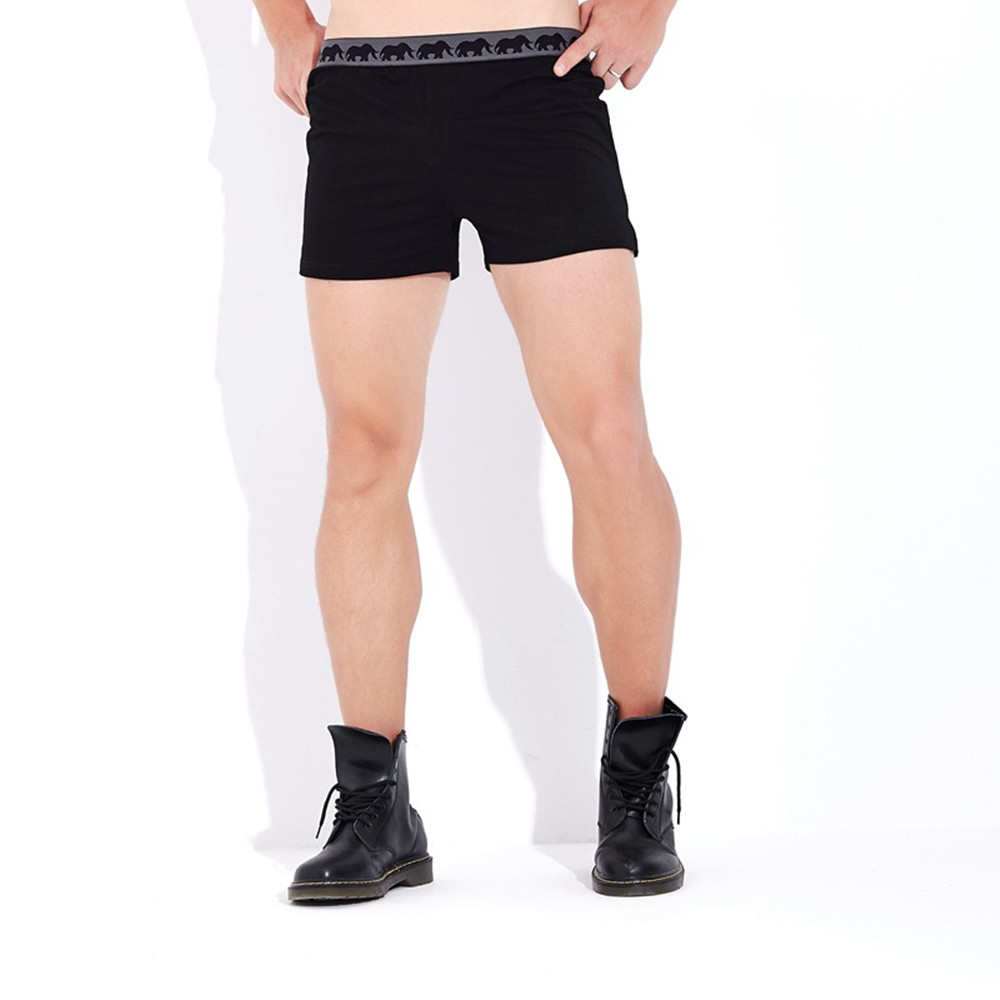 Men's Sports Cotton Plus Size Shorts