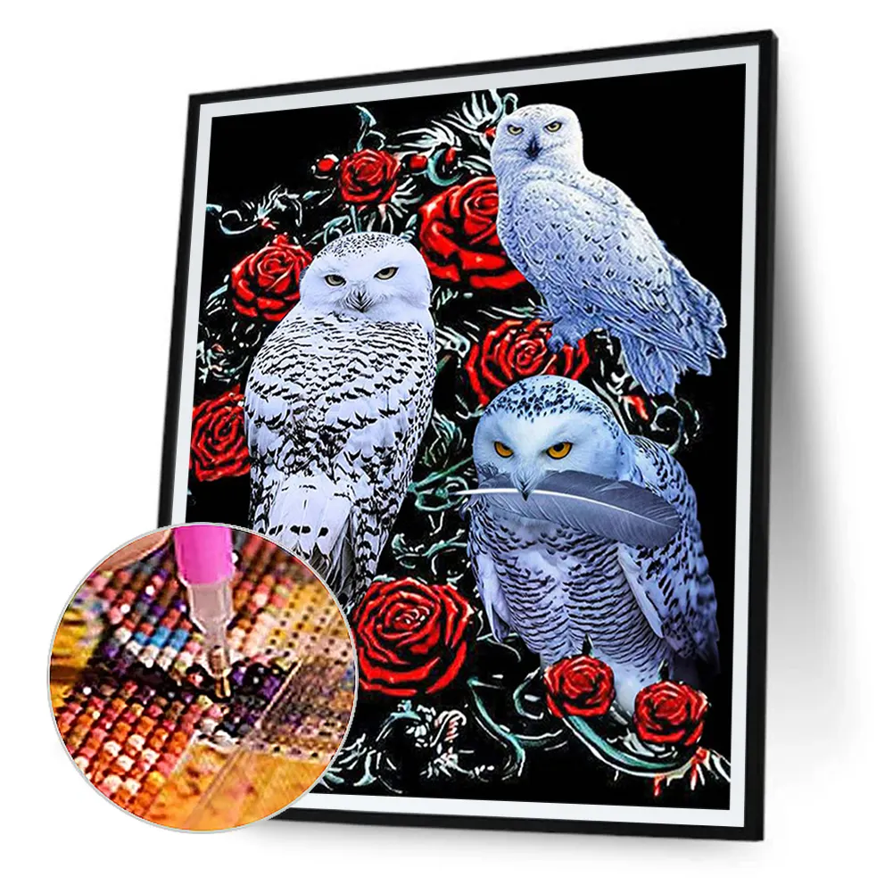 Full Round Diamond Painting 40*50cm - Owl
