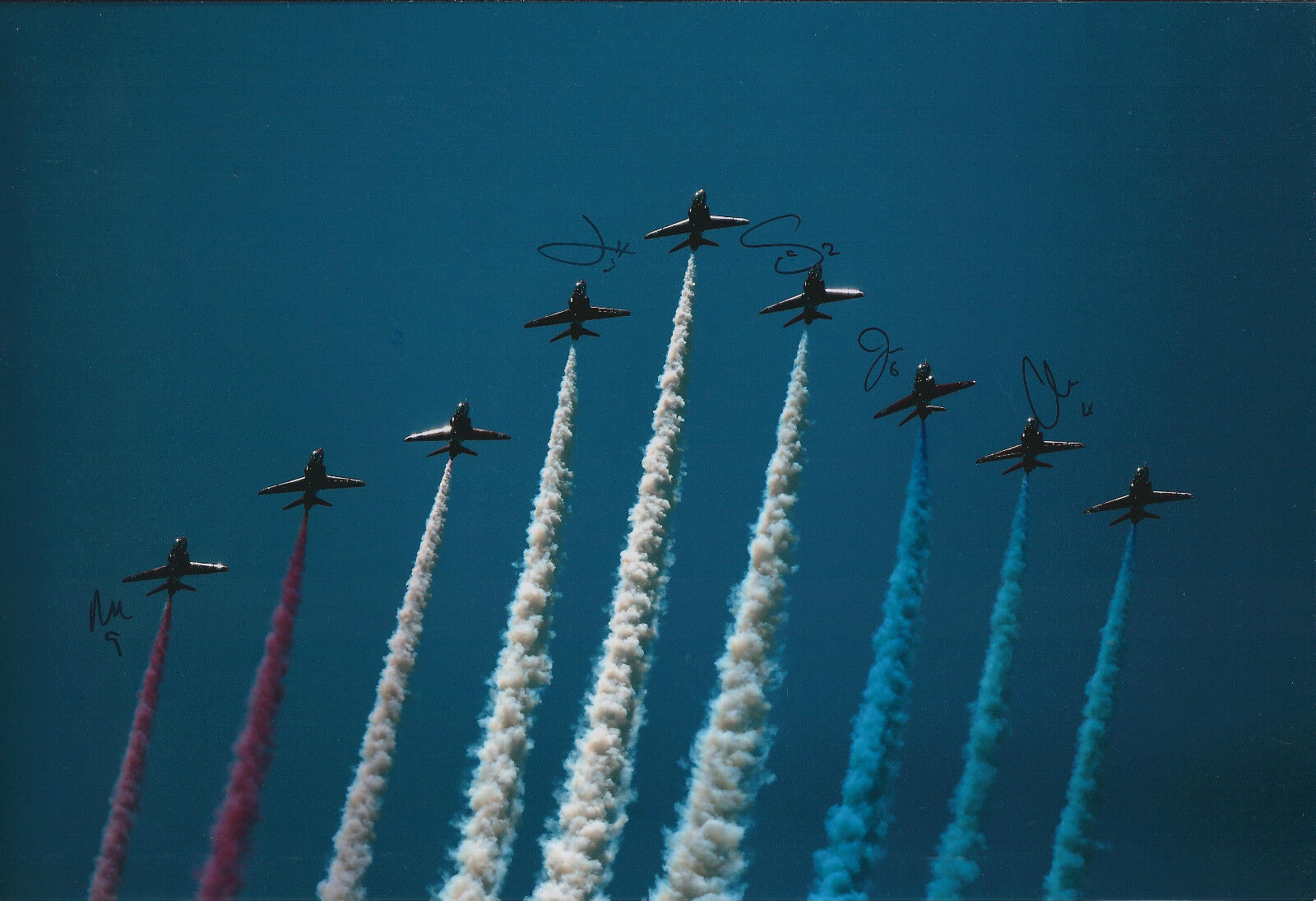 RAF Red ARROWS Multi (5) Signed 12x8 Photo Poster painting Autograph COA AFTAL Display Team RARE