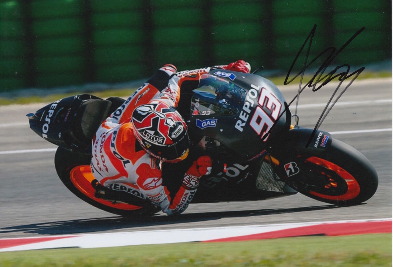 Marc Marquez Hand Signed 12x8 Photo Poster painting Repsol Honda MotoGP World Champion.