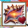Conch Sunset Glass Bead Partial 11CT DIY Stamped Cross Stitch Kits for Beginners Adults Home Decor Cross Stitch Art and Crafts Kits 14.04x14.04in tapestrymarket