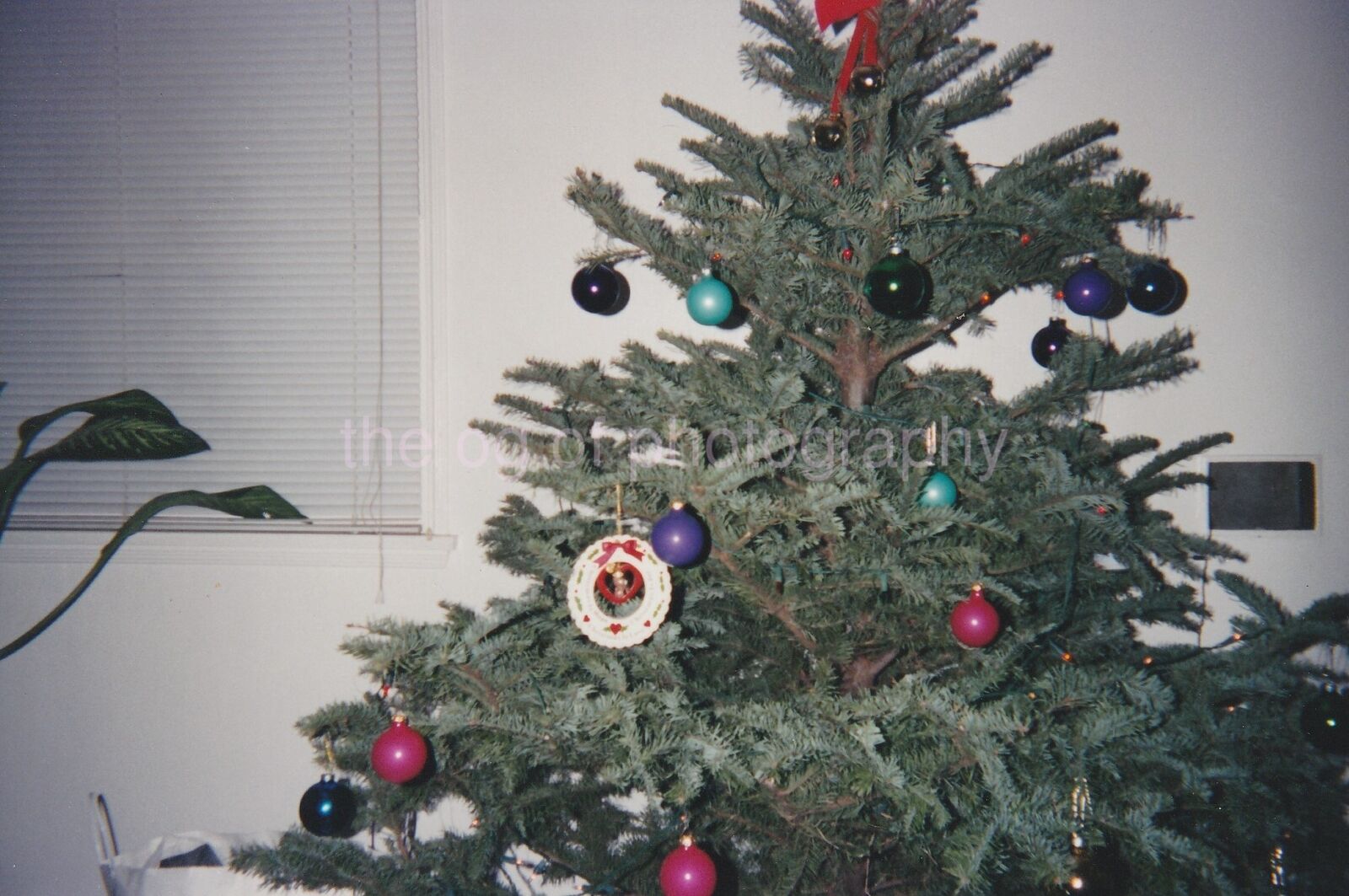 Christmas Tree Abstract FOUND Photo Poster painting ColorOriginal VINTAGE 86 5 T