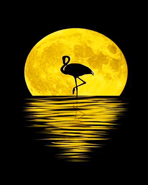 

Flamingo Silhouette Moon – Paint By Numbers - 40*50CM, 501 Original