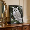 Owl-Special Shaped Diamond Painting