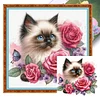 Rose Siamese Cat-11CT Stamped Cross Stitch 40*40cm/15.75*15.75in