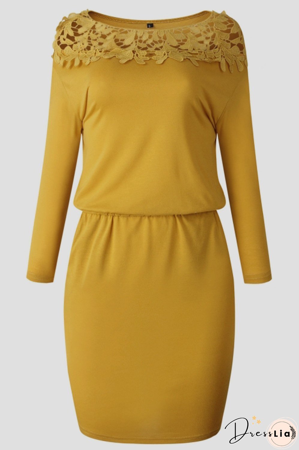 Timeless and Elegant winter Shorts