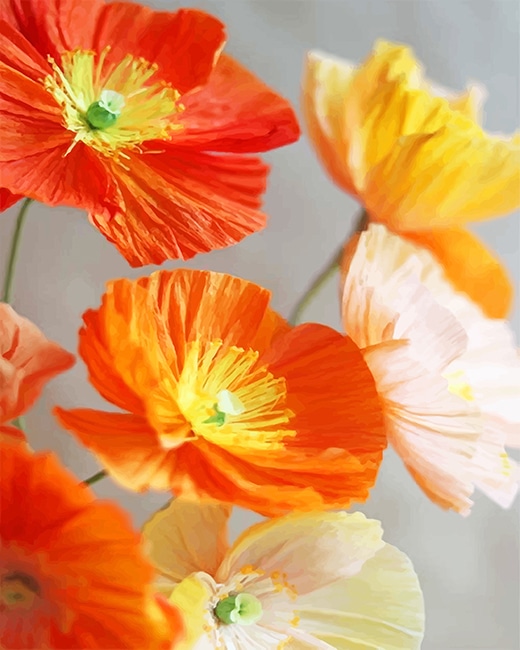

Orange And Yellow Poppies Flowers – Paint By Numbers - 40*50CM, 501 Original