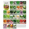 Vegetable Seed Vault Kit | 35 Variety Pack