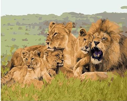 

African Lion Family – Paint By Numbers - 40*50CM, 501 Original